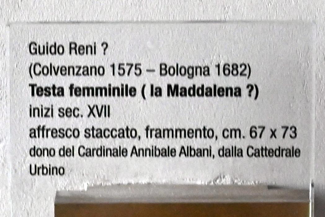 Guido Reni (1596–1641), Weiblicher Kopf (Maria Magdalena?), Urbino, Kathedralbasilika Mariä Himmelfahrt, jetzt Urbino, Diözesanmuseum Albani, Saal 5, Beginn 17. Jhd., Bild 2/2