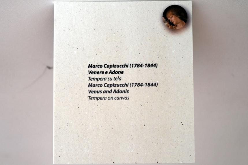 Marco Capizucchi (Undatiert), Venus und Adonis, Rimini, Stadtmuseum, Saal 5, Undatiert, Bild 2/2