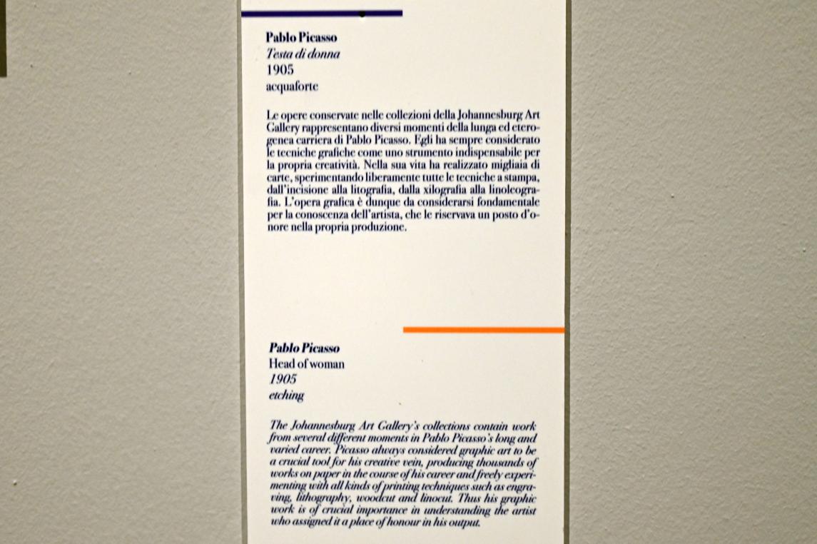 Pablo Picasso (1897–1972), Frauenkopf, Ancona, Pinacoteca civica Francesco Podesti, 2. Obergeschoss Saal 1, 1905, Bild 3/3