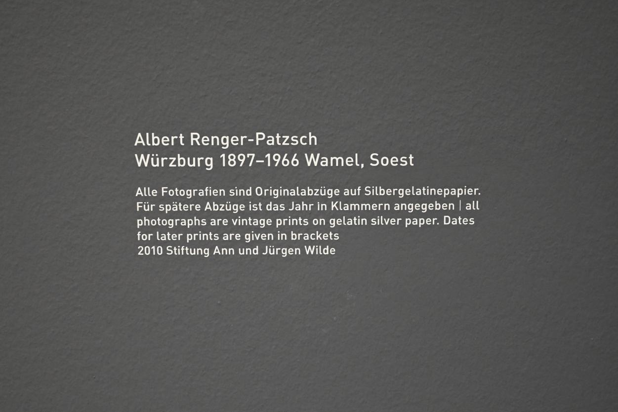 Albert Renger-Patzsch (1925–1959), Birken am Möhneufer, München, Pinakothek der Moderne, Saal 7 2022, 1950–1951, Bild 3/3