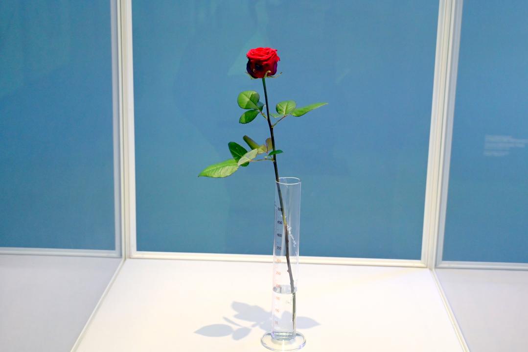 Joseph Beuys (1948–1985), Rose für direkte Demokratie, München, Pinakothek der Moderne, Saal 11 2022, 1973, Bild 1/5