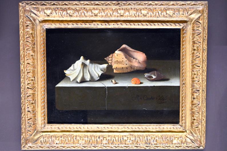 Adriaen Coorte (1696–1704), Fünf Muscheln auf einer Steinplatte, Paris, Musée du Louvre, Saal 842, 1696, Bild 1/2
