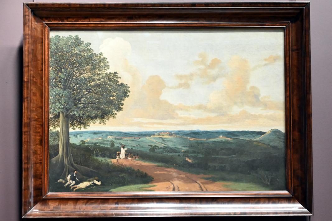 Frans Post (1638–1665), Landschaft rund um Porto Calvo in Brasilien, mit einem Feigenbaum im Vordergrund, Paris, Musée du Louvre, Saal 838, 1639, Bild 1/2