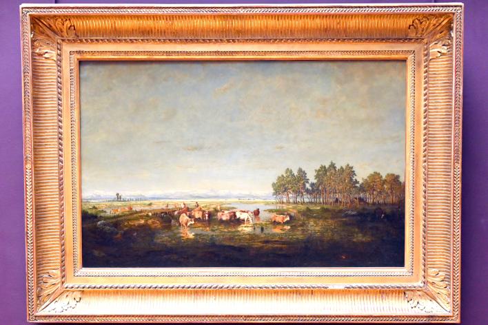 Théodore Rousseau (1827–1862), Sumpfgebiet m Département Landes, Paris, Musée du Louvre, Saal 944, 1852