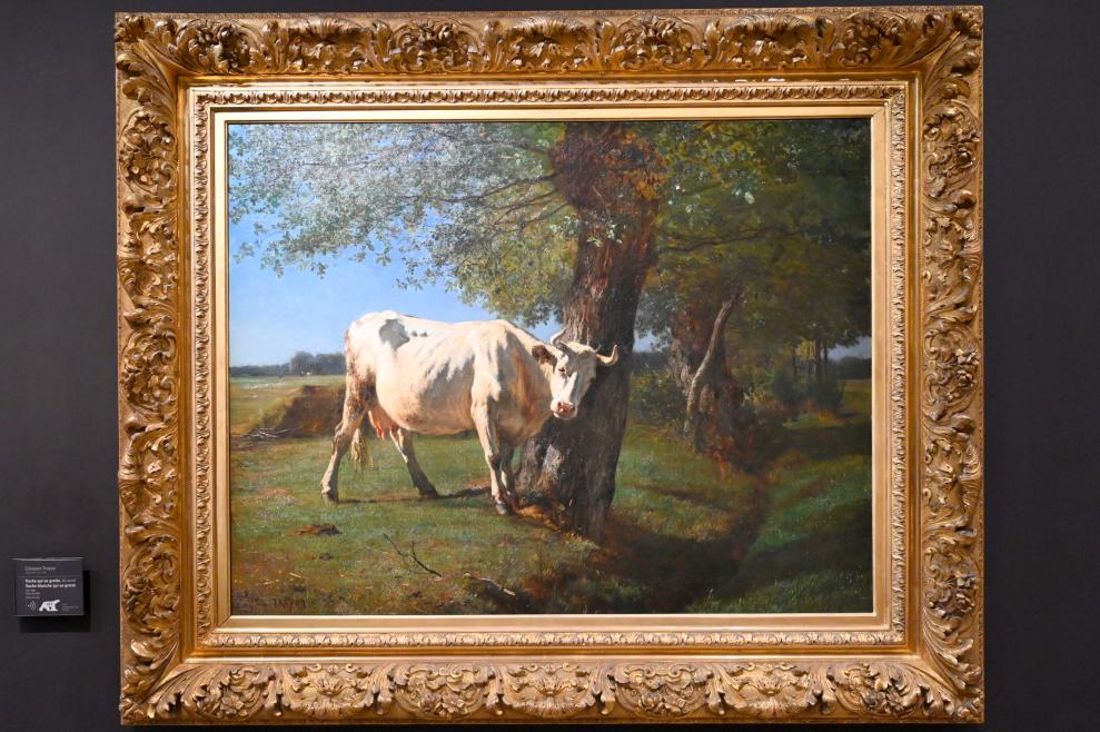 Constant Troyon (1845–1858), Scheuernde Kuh (Scheuernde weiße Kuh), Paris, Musée d’Orsay, vor 1859, Bild 1/2